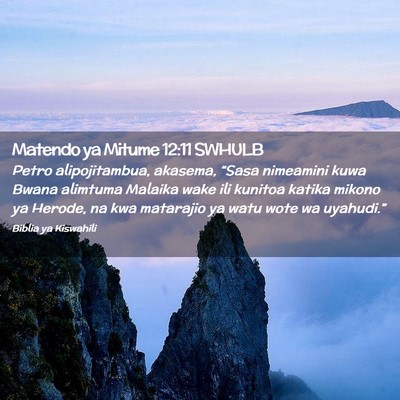 Picture 02 - Matendo ya Mitume 12:11 SWHULB - Petro alipojitambua, akasema, “Sasa nimeamini - Bible Verse Picture