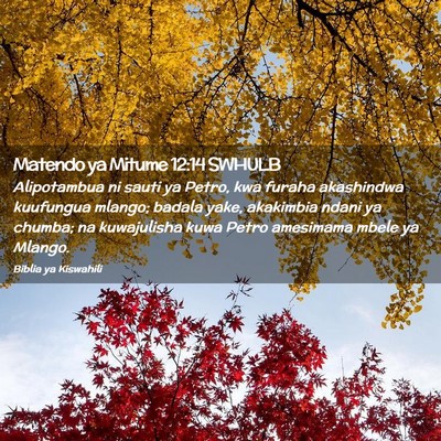 Picture 02 - Matendo ya Mitume 12:14 SWHULB - Alipotambua ni sauti ya Petro, kwa furaha - Bible Verse Picture