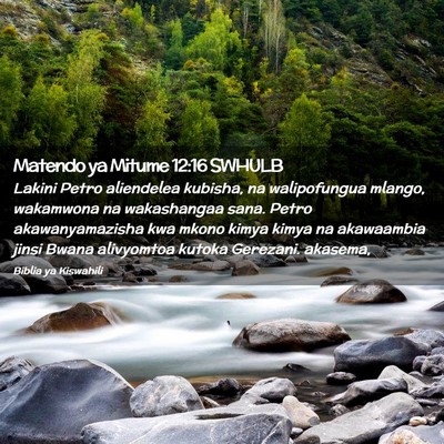 Picture 02 - Matendo ya Mitume 12:16 SWHULB - Lakini Petro aliendelea kubisha, na walipofungua - Bible Verse Picture
