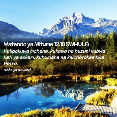 Picture 02 - Matendo ya Mitume 12:18 SWHULB - Kulipokuwa mchana, kukawa na huzuni kubwa kati ya - Bible Verse Picture