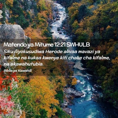 Picture 02 - Matendo ya Mitume 12:21 SWHULB - Siku iliyokusudiwa Herode alivaa mavazi ya - Bible Verse Picture