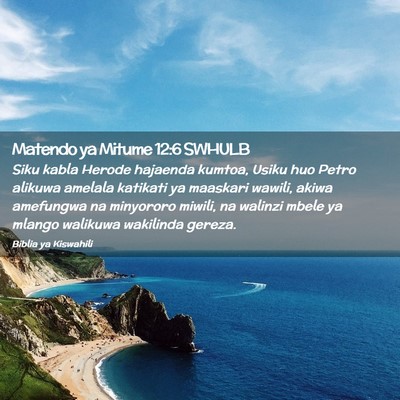 Picture 02 - Matendo ya Mitume 12:6 SWHULB - Siku kabla Herode hajaenda kumtoa, Usiku huo - Bible Verse Picture