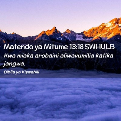 Picture 02 - Matendo ya Mitume 13:18 SWHULB - Kwa miaka arobaini aliwavumilia katika - Bible Verse Picture
