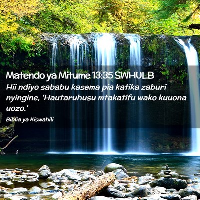 Picture 02 - Matendo ya Mitume 13:35 SWHULB - Hii ndiyo sababu kasema pia katika zaburi - Bible Verse Picture