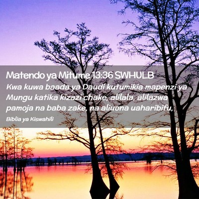 Picture 02 - Matendo ya Mitume 13:36 SWHULB - Kwa kuwa baada ya Daudi kutumikia mapenzi ya - Bible Verse Picture