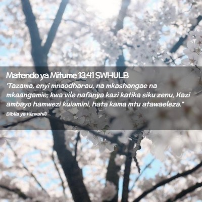 Picture 02 - Matendo ya Mitume 13:41 SWHULB - 'Tazama, enyi mnaodharau, na mkashangae na - Bible Verse Picture