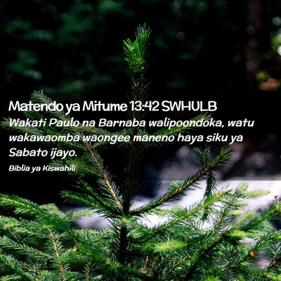 Picture 02 - Matendo ya Mitume 13:42 SWHULB - Wakati Paulo na Barnaba walipoondoka, watu - Bible Verse Picture