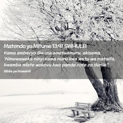 Picture 02 - Matendo ya Mitume 13:47 SWHULB - Kama ambavyo Bwana ametuamuru, akisema, - Bible Verse Picture