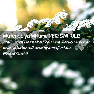 Picture 02 - Matendo ya Mitume 14:12 SWHULB - Walimwita Barnaba “Zeu,” na Paulo “Herme” - Bible Verse Picture