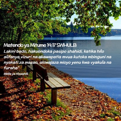 Picture 02 - Matendo ya Mitume 14:17 SWHULB - Lakini bado, hakuondoka pasipo shahidi, katika - Bible Verse Picture