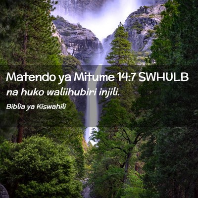 Picture 02 - Matendo ya Mitume 14:7 SWHULB - na huko waliihubiri - Bible Verse Picture