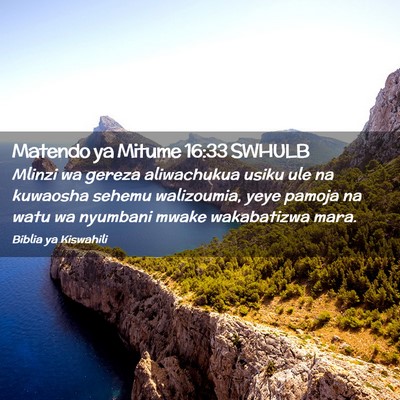 Picture 02 - Matendo ya Mitume 16:33 SWHULB - Mlinzi wa gereza aliwachukua usiku ule na - Bible Verse Picture