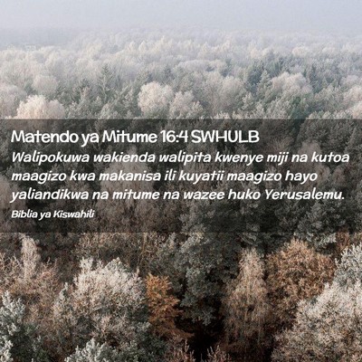 Picture 02 - Matendo ya Mitume 16:4 SWHULB - Walipokuwa wakienda walipita kwenye miji na kutoa - Bible Verse Picture