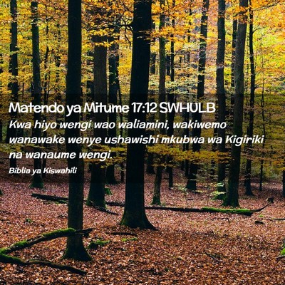 Picture 02 - Matendo ya Mitume 17:12 SWHULB - Kwa hiyo wengi wao waliamini, wakiwemo wanawake - Bible Verse Picture