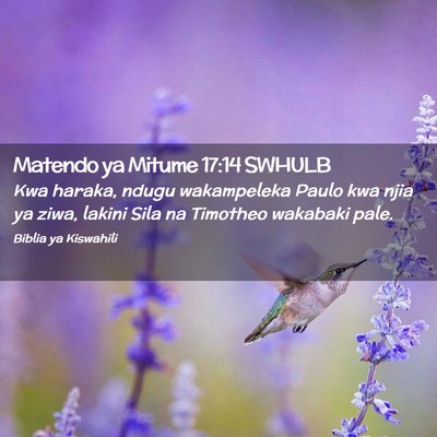 Picture 02 - Matendo ya Mitume 17:14 SWHULB - Kwa haraka, ndugu wakampeleka Paulo kwa njia ya - Bible Verse Picture