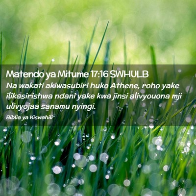 Picture 02 - Matendo ya Mitume 17:16 SWHULB - Na wakati akiwasubiri huko Athene, roho yake - Bible Verse Picture