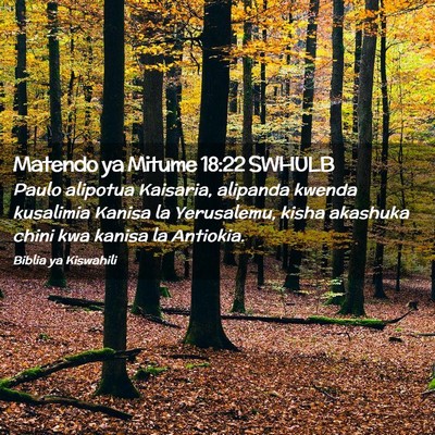 Picture 02 - Matendo ya Mitume 18:22 SWHULB - Paulo alipotua Kaisaria, alipanda kwenda - Bible Verse Picture