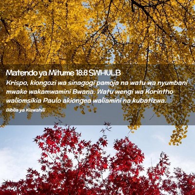 Picture 02 - Matendo ya Mitume 18:8 SWHULB - Krispo, kiongozi wa sinagogi pamoja na watu wa - Bible Verse Picture
