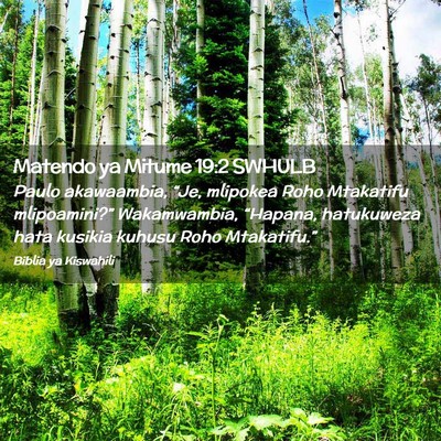 Picture 02 - Matendo ya Mitume 19:2 SWHULB - Paulo akawaambia, “Je, mlipokea Roho Mtakatifu - Bible Verse Picture