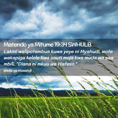 Picture 02 - Matendo ya Mitume 19:34 SWHULB - Lakini walipotambua kuwa yeye ni Myahudi, wote - Bible Verse Picture