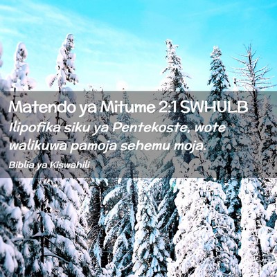 Picture 02 - Matendo ya Mitume 2:1 SWHULB - Ilipofika siku ya Pentekoste, wote walikuwa - Bible Verse Picture
