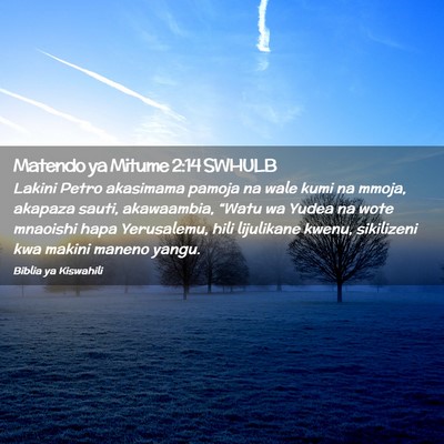 Picture 02 - Matendo ya Mitume 2:14 SWHULB - Lakini Petro akasimama pamoja na wale kumi na - Bible Verse Picture