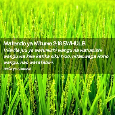 Picture 02 - Matendo ya Mitume 2:18 SWHULB - Vilevile juu ya watumishi wangu na watumishi - Bible Verse Picture