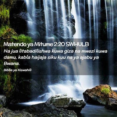 Picture 02 - Matendo ya Mitume 2:20 SWHULB - Na jua litabadilishwa kuwa giza na mwezi kuwa - Bible Verse Picture