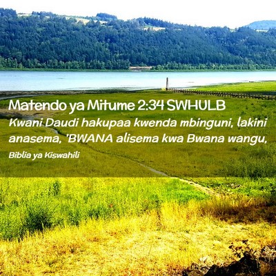 Picture 02 - Matendo ya Mitume 2:34 SWHULB - Kwani Daudi hakupaa kwenda mbinguni, lakini - Bible Verse Picture