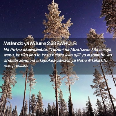 Picture 02 - Matendo ya Mitume 2:38 SWHULB - Na Petro akawaambia, “Tubuni na Mbatizwe, kila - Bible Verse Picture