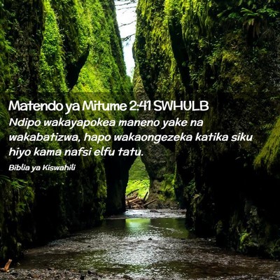 Picture 02 - Matendo ya Mitume 2:41 SWHULB - Ndipo wakayapokea maneno yake na wakabatizwa, - Bible Verse Picture
