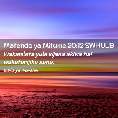 Picture 02 - Matendo ya Mitume 20:12 SWHULB - Wakamleta yule kijana akiwa hai wakafarijika - Bible Verse Picture