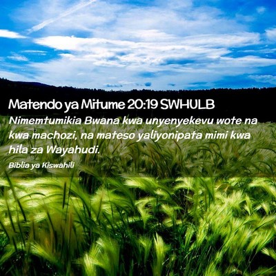 Picture 02 - Matendo ya Mitume 20:19 SWHULB - Nimemtumikia Bwana kwa unyenyekevu wote na kwa - Bible Verse Picture