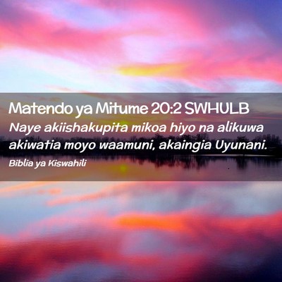 Picture 02 - Matendo ya Mitume 20:2 SWHULB - Naye akiishakupita mikoa hiyo na alikuwa akiwatia - Bible Verse Picture