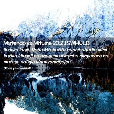 Picture 02 - Matendo ya Mitume 20:23 SWHULB - ila kwa kuwa Roho Mtakatifu hunishuhudia mimi - Bible Verse Picture