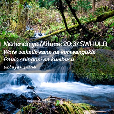 Picture 02 - Matendo ya Mitume 20:37 SWHULB - Wote wakalia sana na kumwangukia Paulo shingoni - Bible Verse Picture