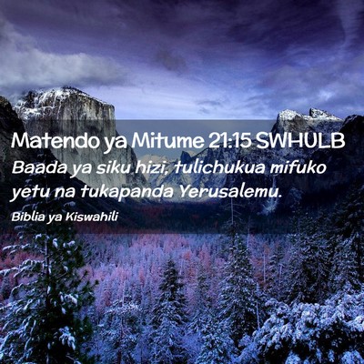 Picture 02 - Matendo ya Mitume 21:15 SWHULB - Baada ya siku hizi, tulichukua mifuko yetu na - Bible Verse Picture