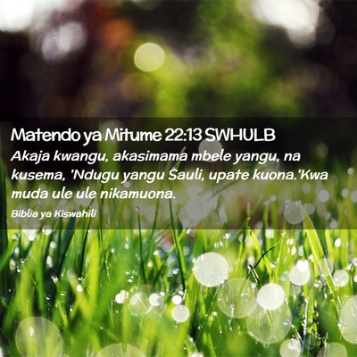 Picture 02 - Matendo ya Mitume 22:13 SWHULB - Akaja kwangu, akasimama mbele yangu, na kusema, - Bible Verse Picture