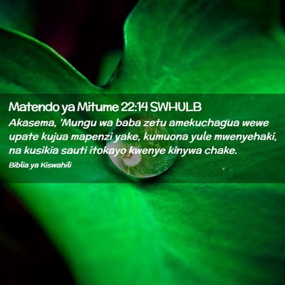 Picture 02 - Matendo ya Mitume 22:14 SWHULB - Akasema, 'Mungu wa baba zetu amekuchagua wewe - Bible Verse Picture