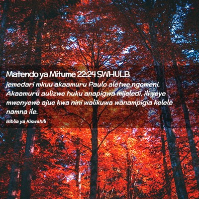 Picture 02 - Matendo ya Mitume 22:24 SWHULB - jemedari mkuu akaamuru Paulo aletwe ngomeni. - Bible Verse Picture