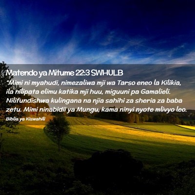 Picture 02 - Matendo ya Mitume 22:3 SWHULB - “Mimi ni myahudi, nimezaliwa mji wa Tarso eneo - Bible Verse Picture