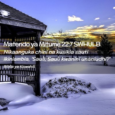 Picture 02 - Matendo ya Mitume 22:7 SWHULB - Nikaanguka chini na kusikia sauti ikiniambia, - Bible Verse Picture