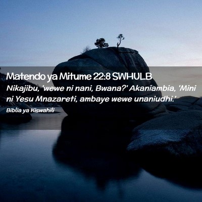 Picture 02 - Matendo ya Mitume 22:8 SWHULB - Nikajibu, 'wewe ni nani, Bwana?' Akaniambia, - Bible Verse Picture