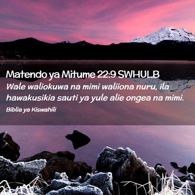 Picture 02 - Matendo ya Mitume 22:9 SWHULB - Wale waliokuwa na mimi waliiona nuru, ila - Bible Verse Picture