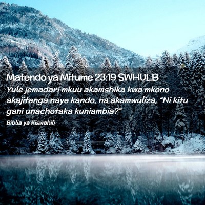 Picture 02 - Matendo ya Mitume 23:19 SWHULB - Yule jemadari mkuu akamshika kwa mkono akajitenga - Bible Verse Picture