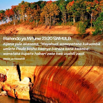 Picture 02 - Matendo ya Mitume 23:20 SWHULB - Kijana yule akasema, “Wayahudi wamepatana - Bible Verse Picture