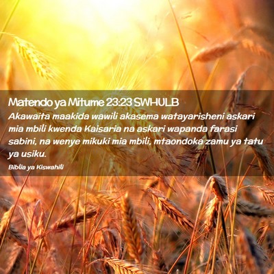 Picture 02 - Matendo ya Mitume 23:23 SWHULB - Akawaita maakida wawili akasema watayarisheni - Bible Verse Picture