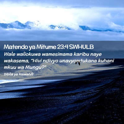 Picture 02 - Matendo ya Mitume 23:4 SWHULB - Wale waliokuwa wamesimama karibu naye wakasema, - Bible Verse Picture