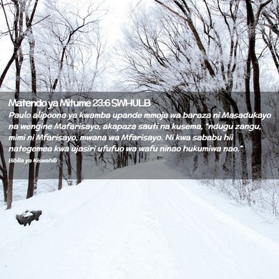 Picture 02 - Matendo ya Mitume 23:6 SWHULB - Paulo alipoona ya kwamba upande mmoja wa baraza - Bible Verse Picture
