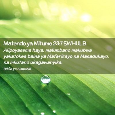 Picture 02 - Matendo ya Mitume 23:7 SWHULB - Alipoyasema haya, malumbano makubwa yakatokea - Bible Verse Picture